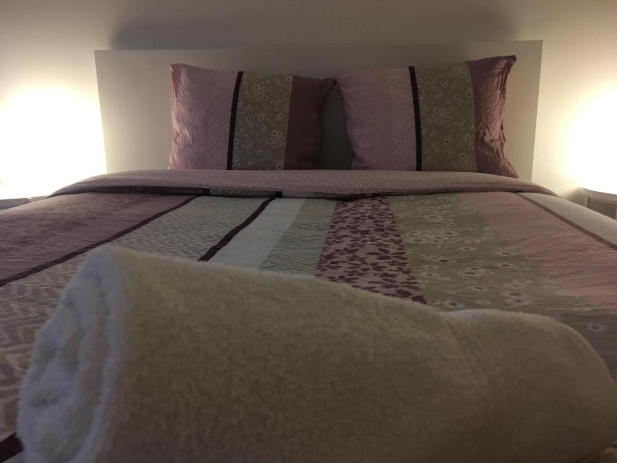Le Vauban - Appartement 2 Chambres, Salon, Cuisine Equipee, Parking Et Wifi Gratuit ミュルーズ エクステリア 写真